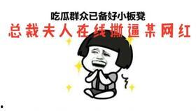 吃瓜爽文全文,一场吃瓜爽文的奇幻之旅