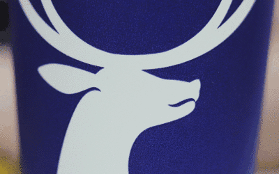 别人吃粽子我吃瓜,粽子飘香，瓜果共享