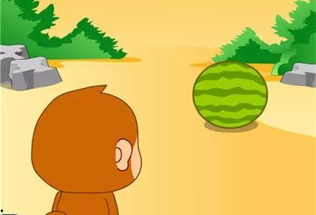 看小猴子吃瓜,趣味横生的夏日时光